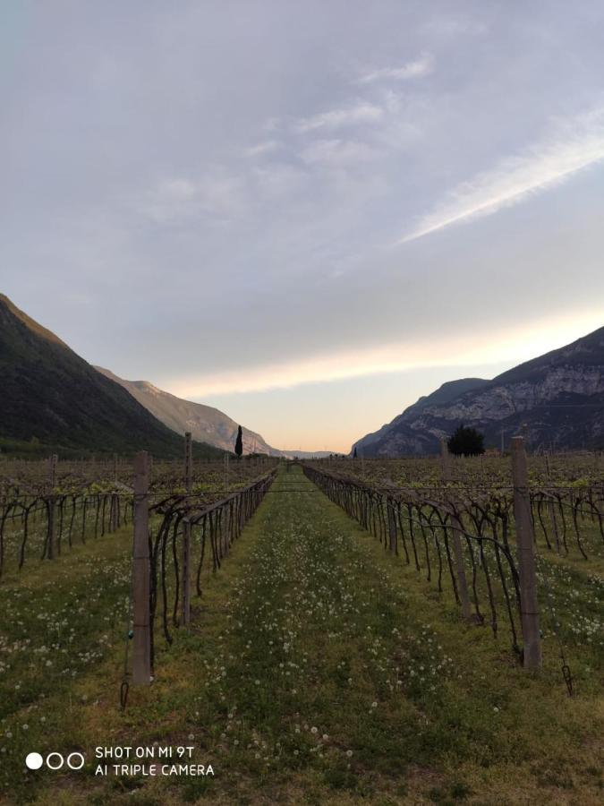 Agriturismo Revena Brentino Belluno المظهر الخارجي الصورة