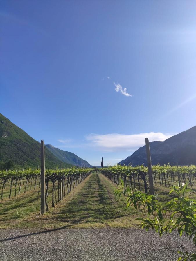 Agriturismo Revena Brentino Belluno المظهر الخارجي الصورة