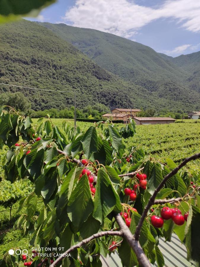 Agriturismo Revena Brentino Belluno المظهر الخارجي الصورة